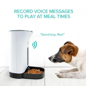 Automatic Pet Feeder