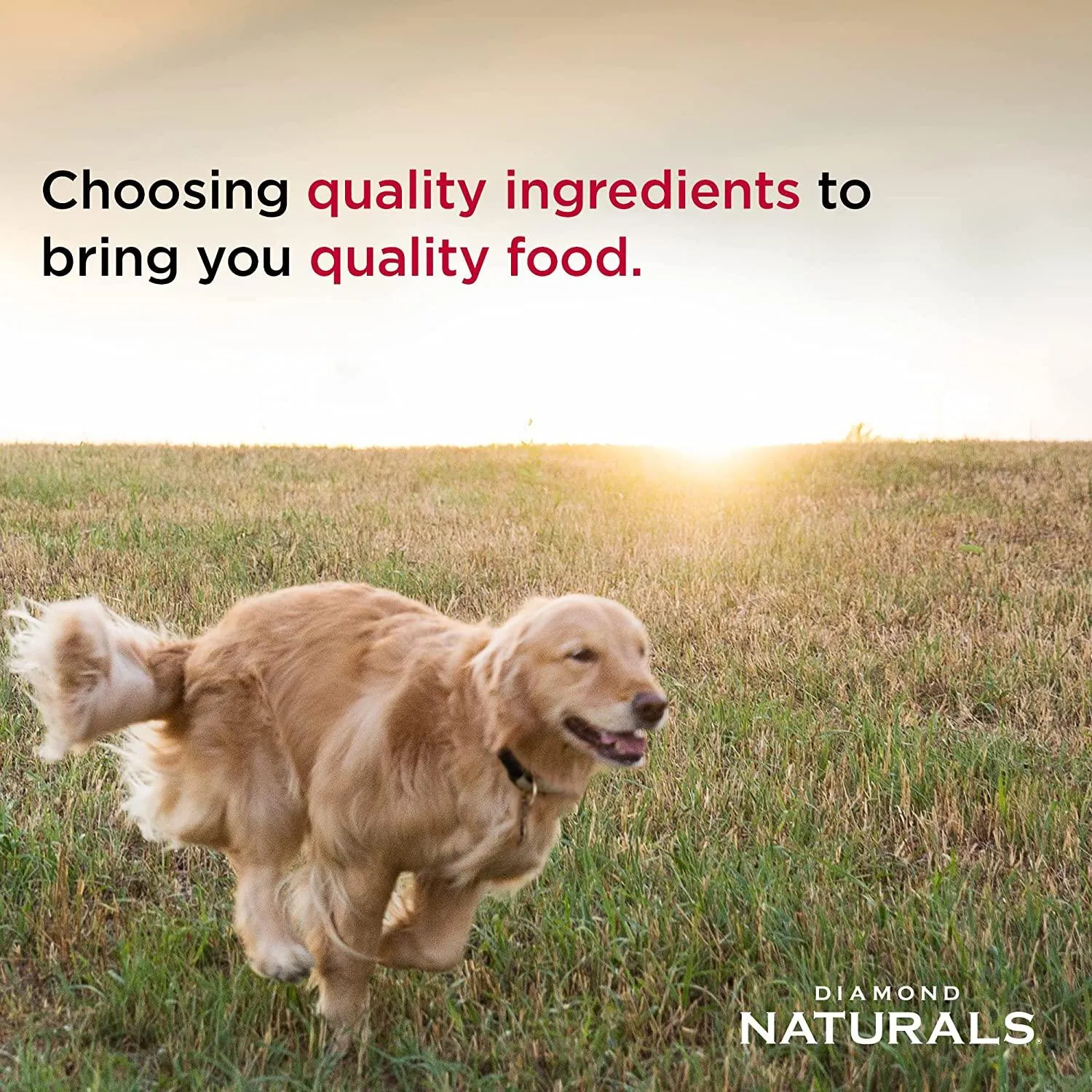Diamond Naturals Large Breed Puppy Food Lamb & Rice Recipe