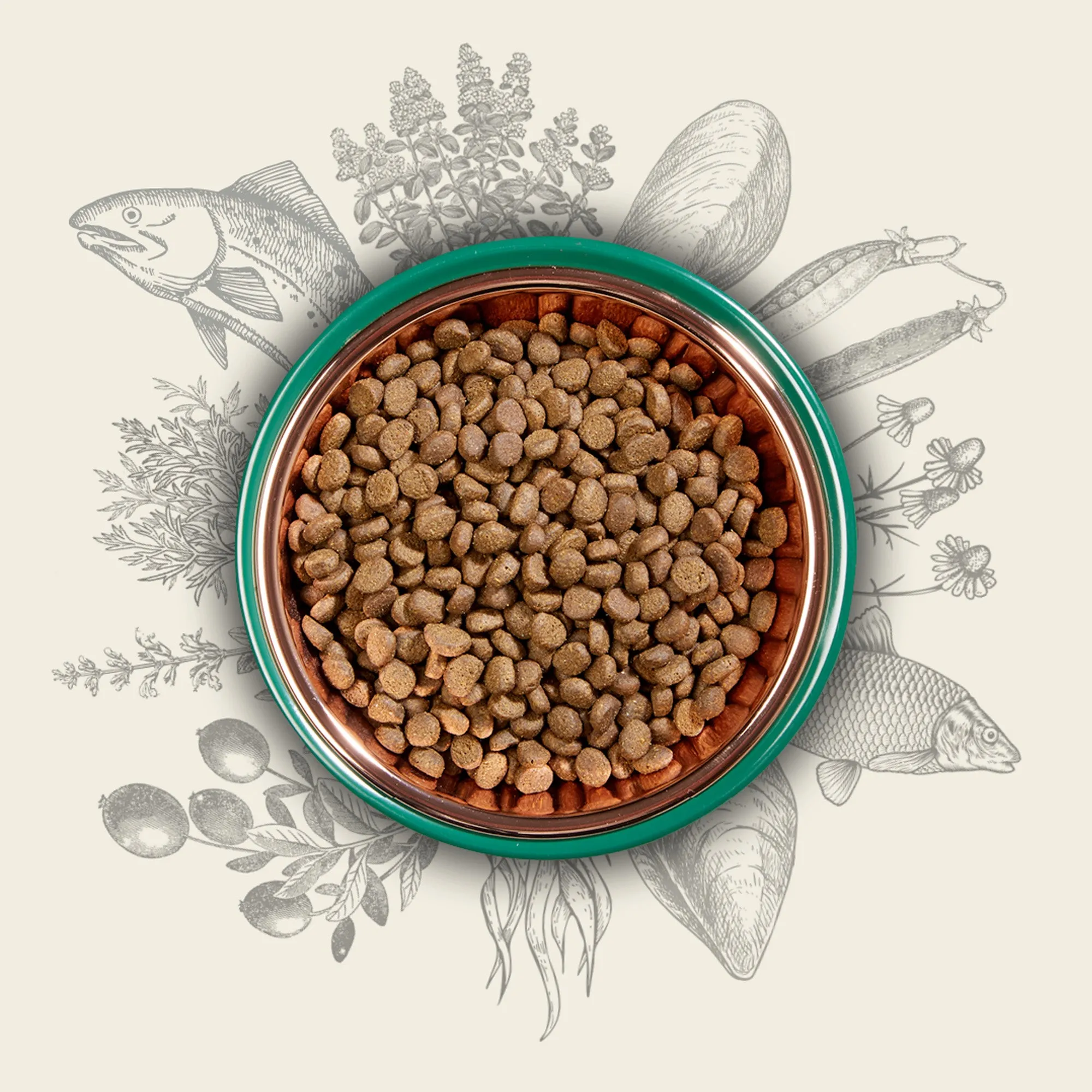 Eden Pet Foods 80/20 Fish Cuisine - Small Kibble