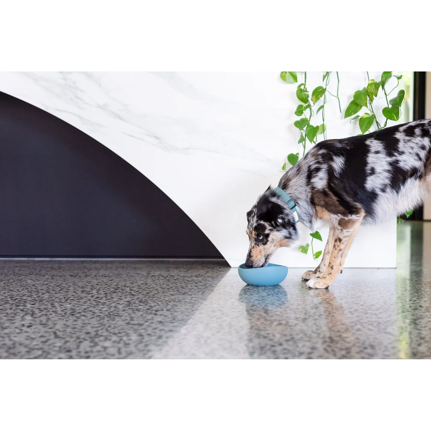 FuzzYard Life Silicone Dog Bowl French Blue Large^^^