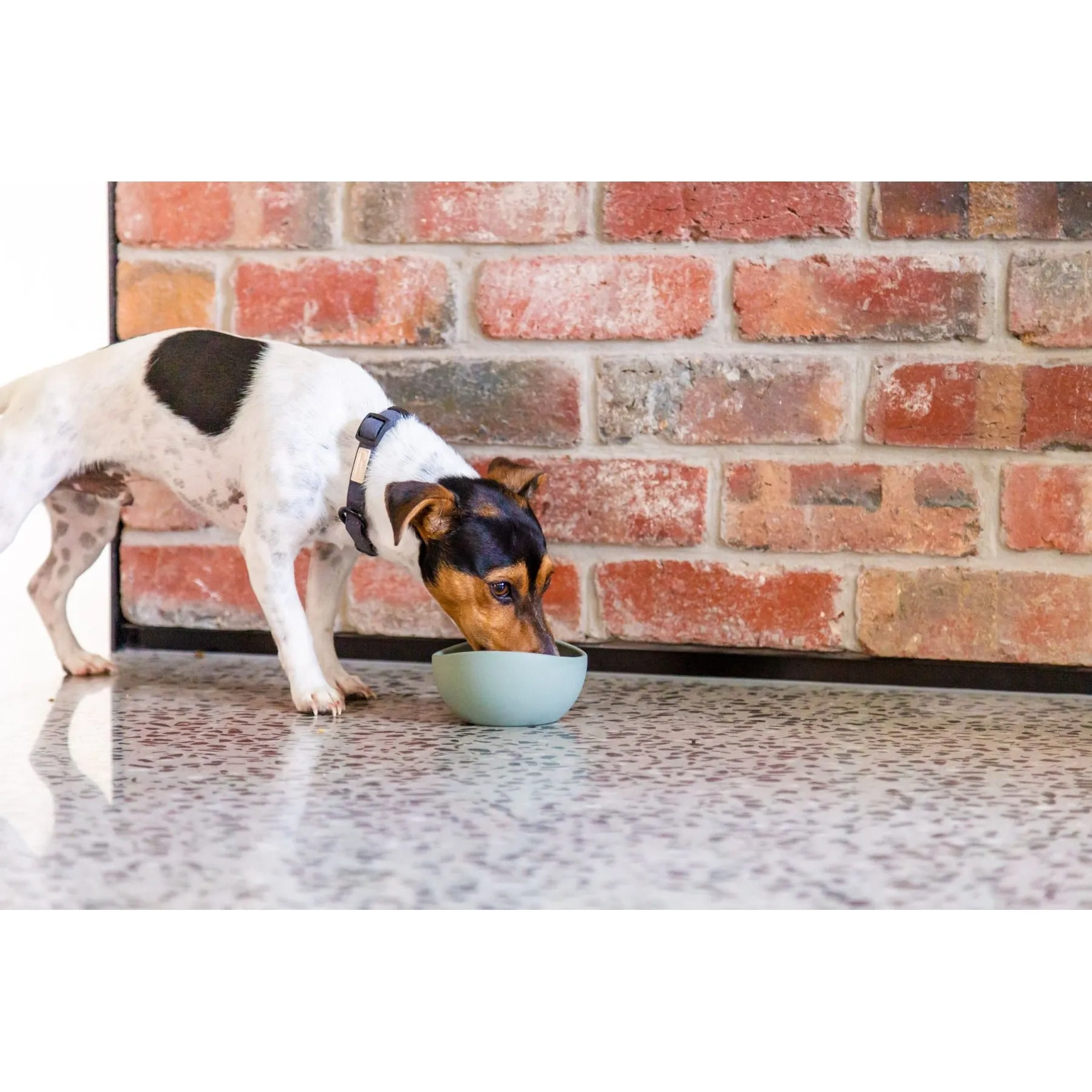 FuzzYard Life Silicone Dog Bowl Myrtle Green Small