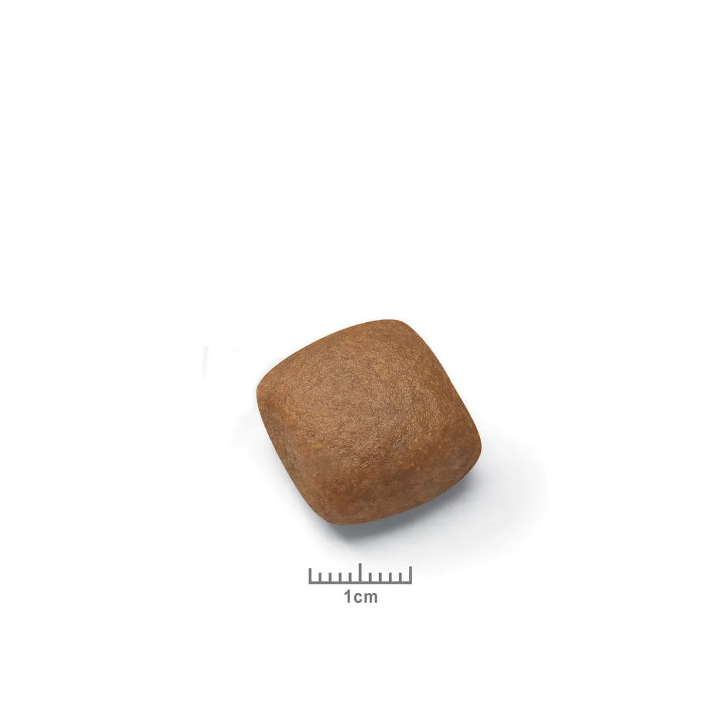 Giant Junior Dry Dog Food