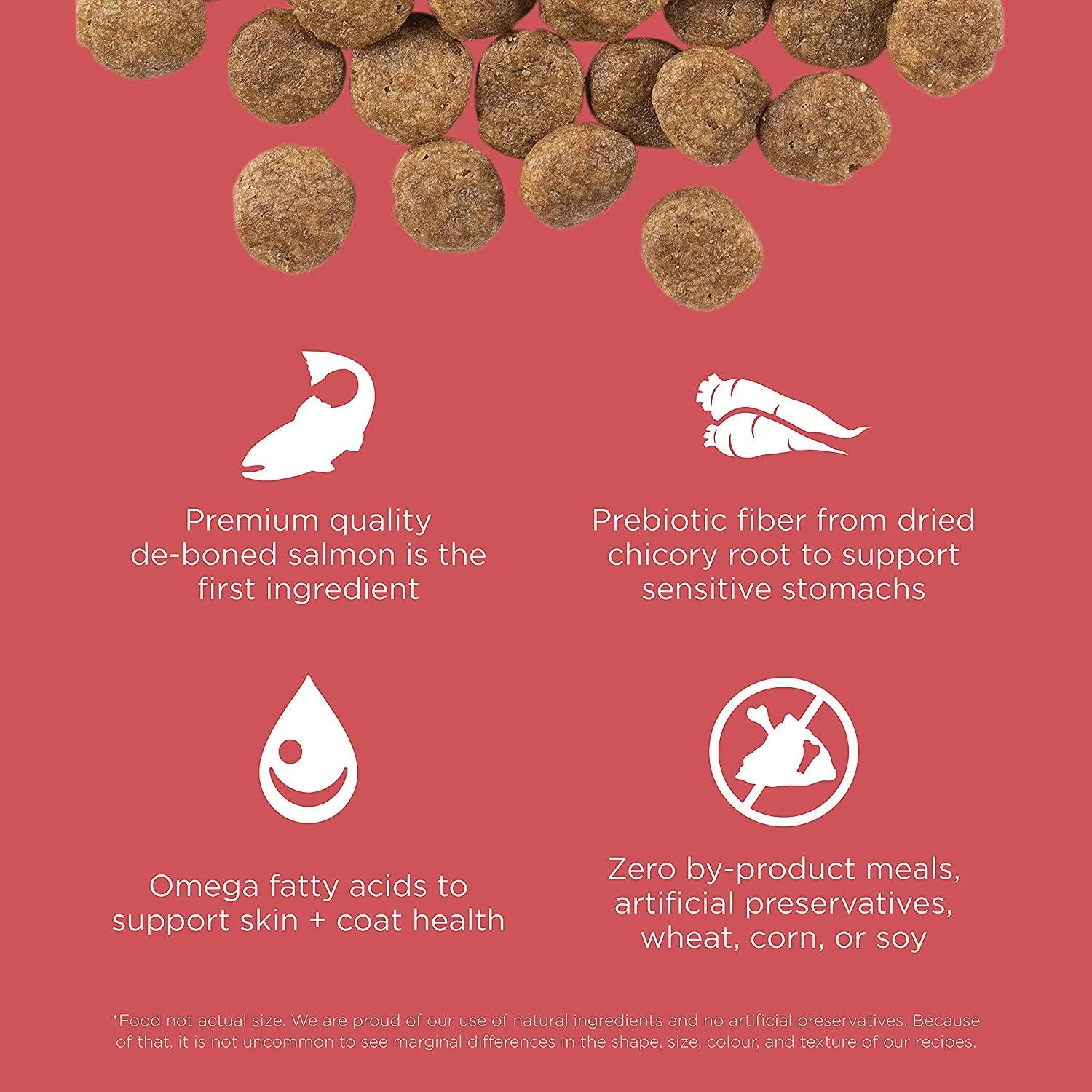 Go! Sensitivities Limited Ingredient Grain Free Salmon recipe for dogs