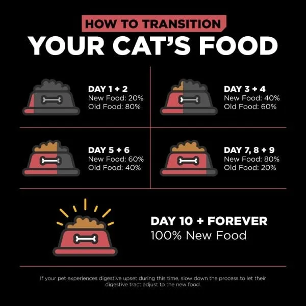 Go! Solutions Sensitivities Limited Ingredient Grain Free Salmon Recipe Dry Cat Food, 6lb