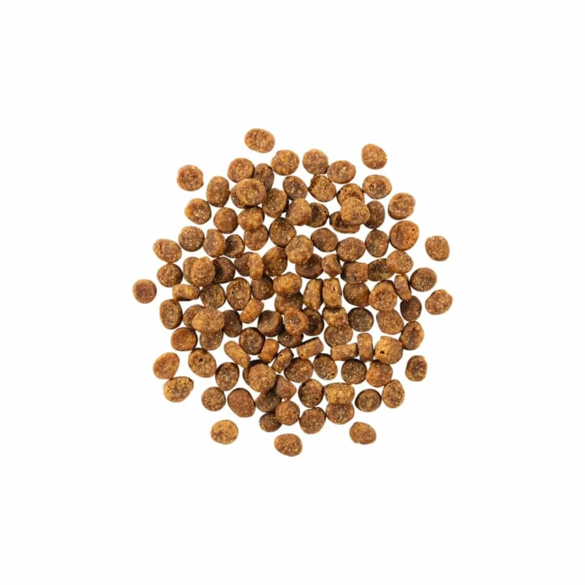 Go! Solutions Sensitivities Limited Ingredient Grain Free Salmon Recipe Dry Cat Food, 6lb