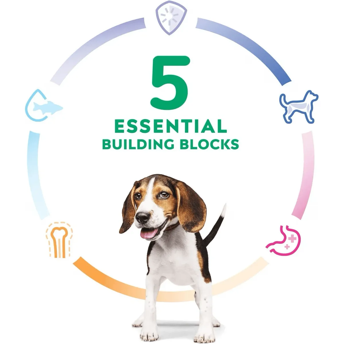 Hill's Science Diet Dry Dog Food, Puppy, Chicken Meal & Barley Recipe