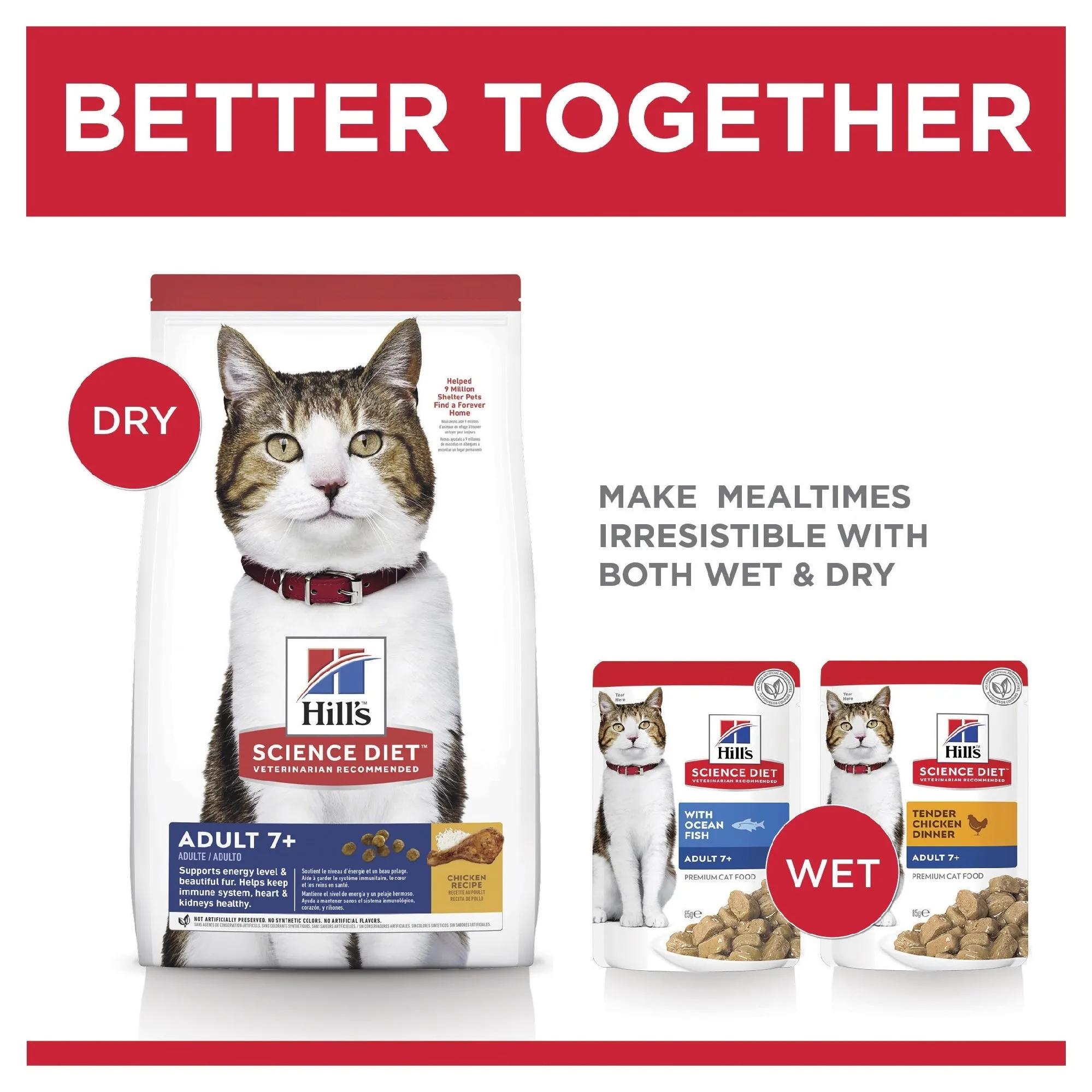 HILL'S SCIENCE DIET SENIOR ADULT 7  DRY CAT FOOD 6KG