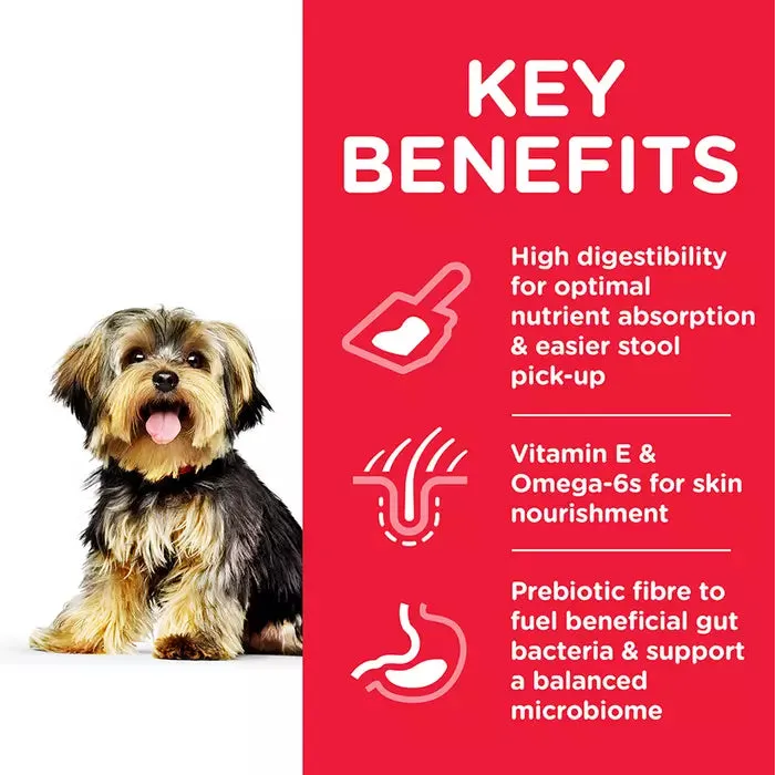 Hill's Science Plan Adult Sensitive Stomach and Skin Small and Mini Dog Food Chicken