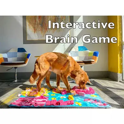 Injoya Fun House Snuffle Mat