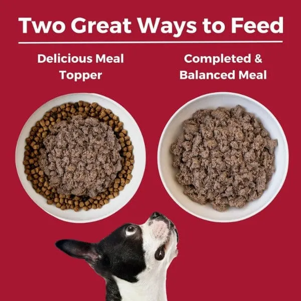 KOHA LID Beef Entrée Canned Dog Food