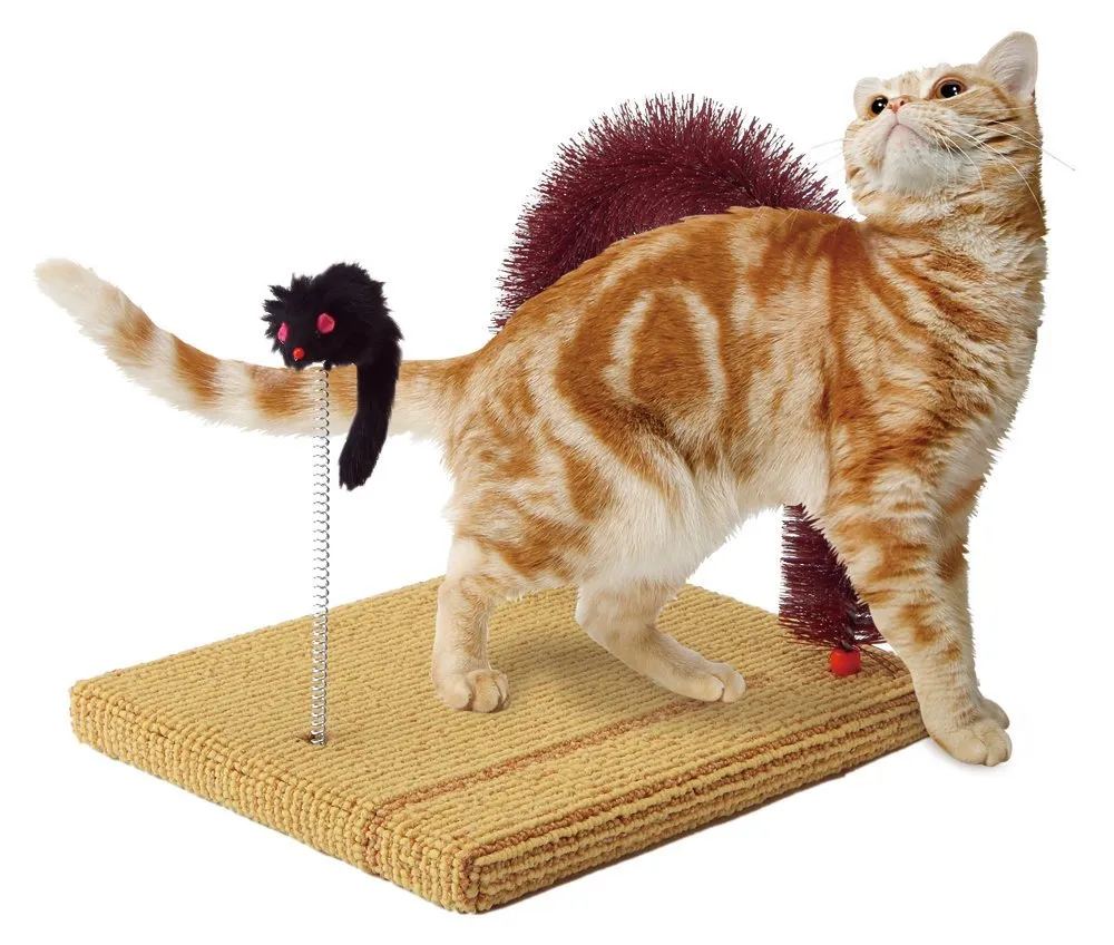 Marukan Massage Brush Cat Scratcher