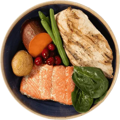 My Perfect Pet Hunter’s Turkey & Wild Salmon Blend