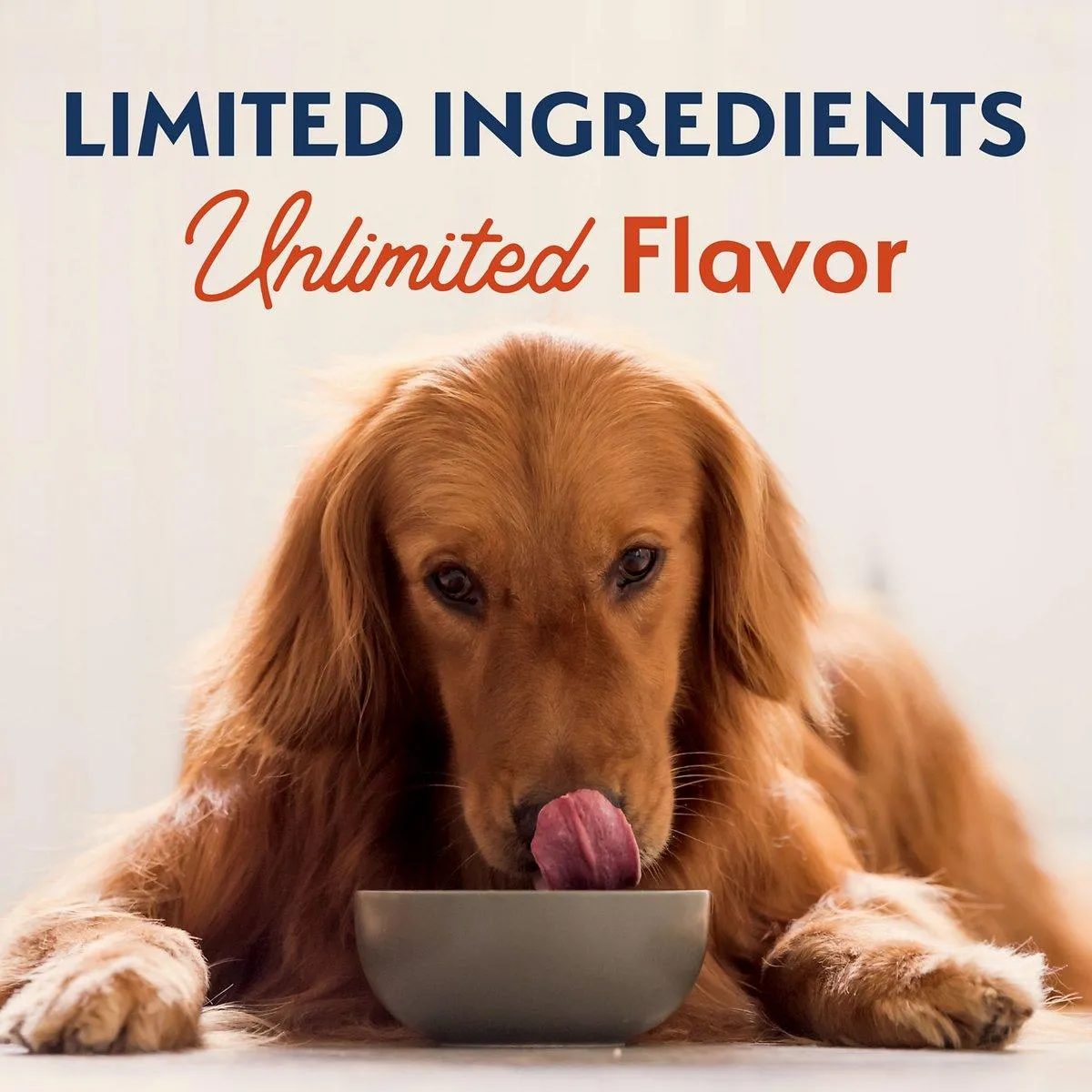 Natural Balance Limited Ingredient Diet Salmon & Sweet Potato Dog Food