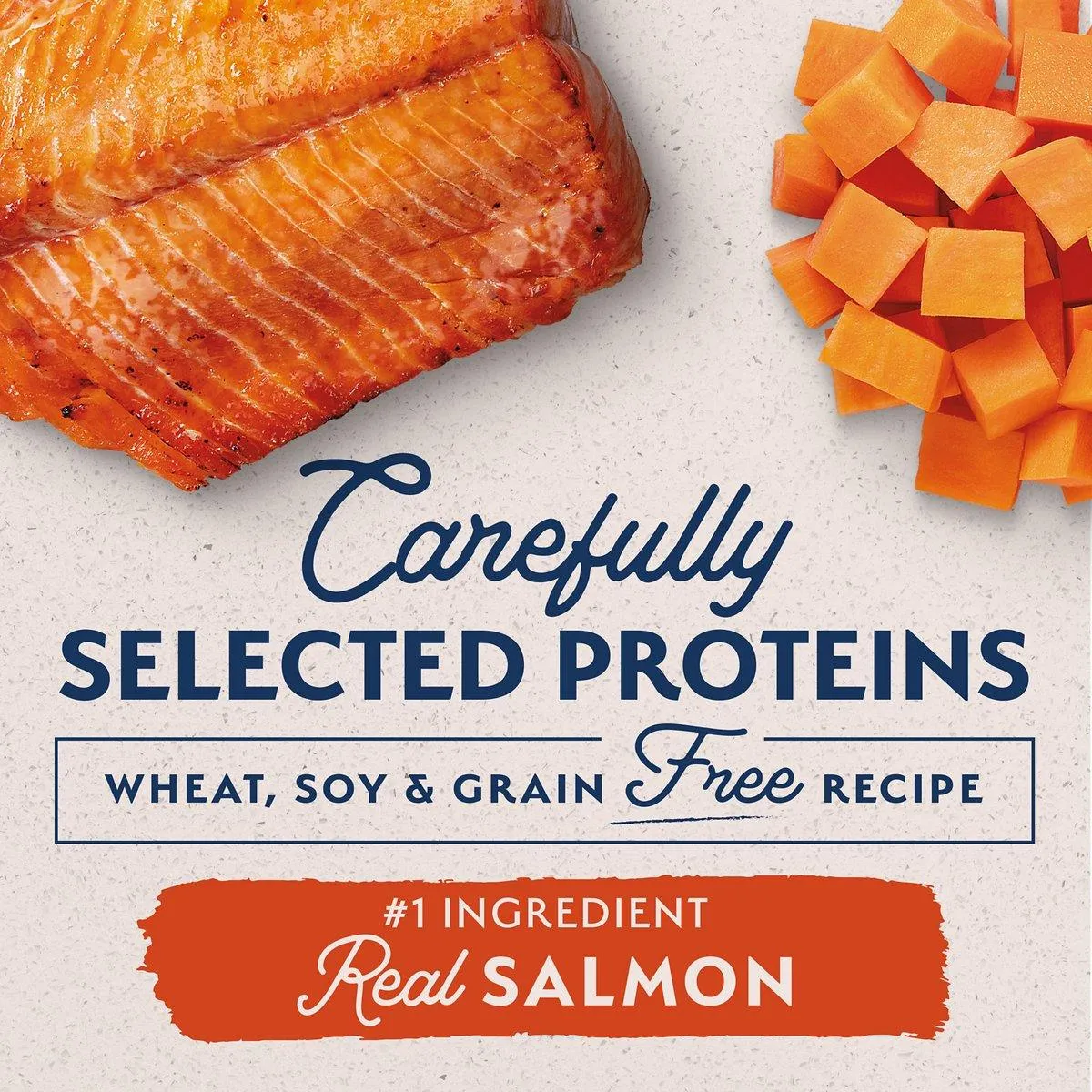 Natural Balance Limited Ingredient Diet Salmon & Sweet Potato Dog Food