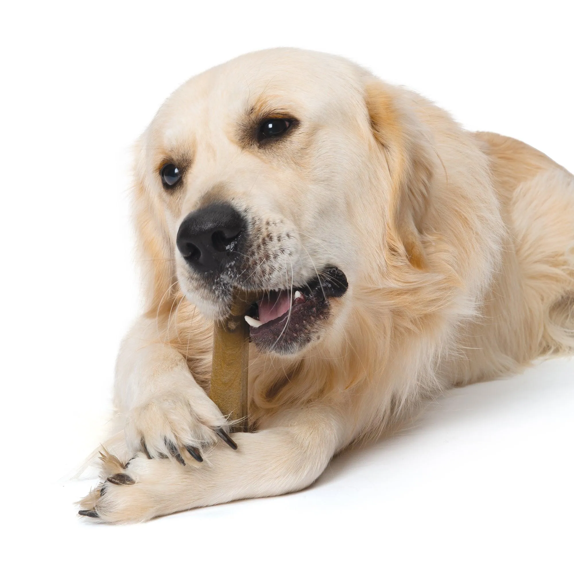 Nosh Strong Chew Bone Chicken