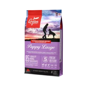 ORIJEN PUPPY LARGE DRY FOOD