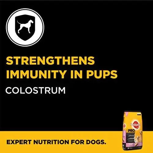 Pedigree Pro Expert Nutrition Dry Food, Starter Mother and Pup for Dogs, 10 kg