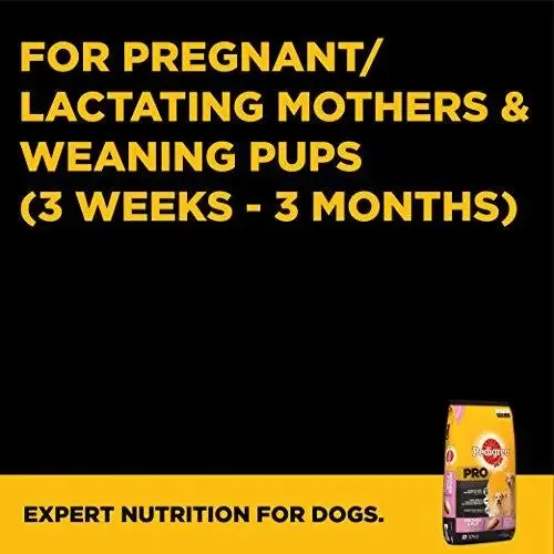 Pedigree Pro Expert Nutrition Dry Food, Starter Mother and Pup for Dogs, 10 kg