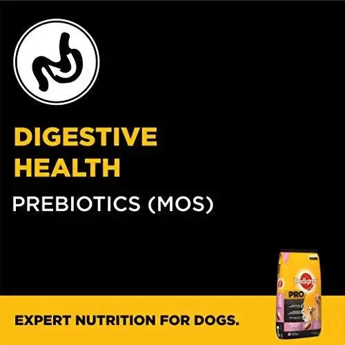 Pedigree Pro Expert Nutrition Dry Food, Starter Mother and Pup for Dogs, 10 kg