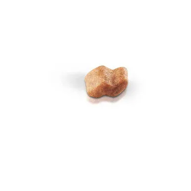 Royal Canin Boxer Puppy Dry Dog Food