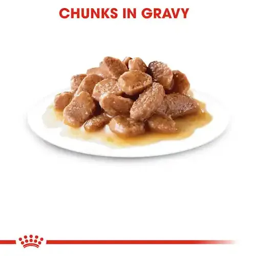 Royal Canin - Care Digestive Sensitive Care Adult Cat Wet Food in Gravy 85g