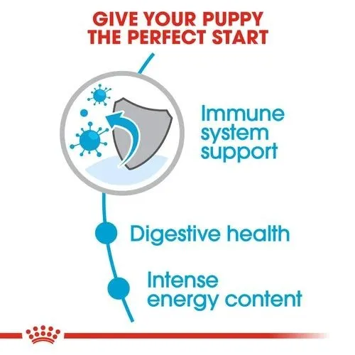 Royal Canin Dry Puppy Food for Mini Breeds 2kg