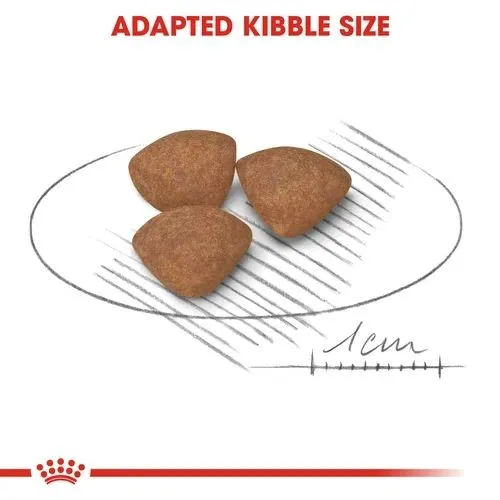 Royal Canin Dry Puppy Food for Mini Breeds 2kg