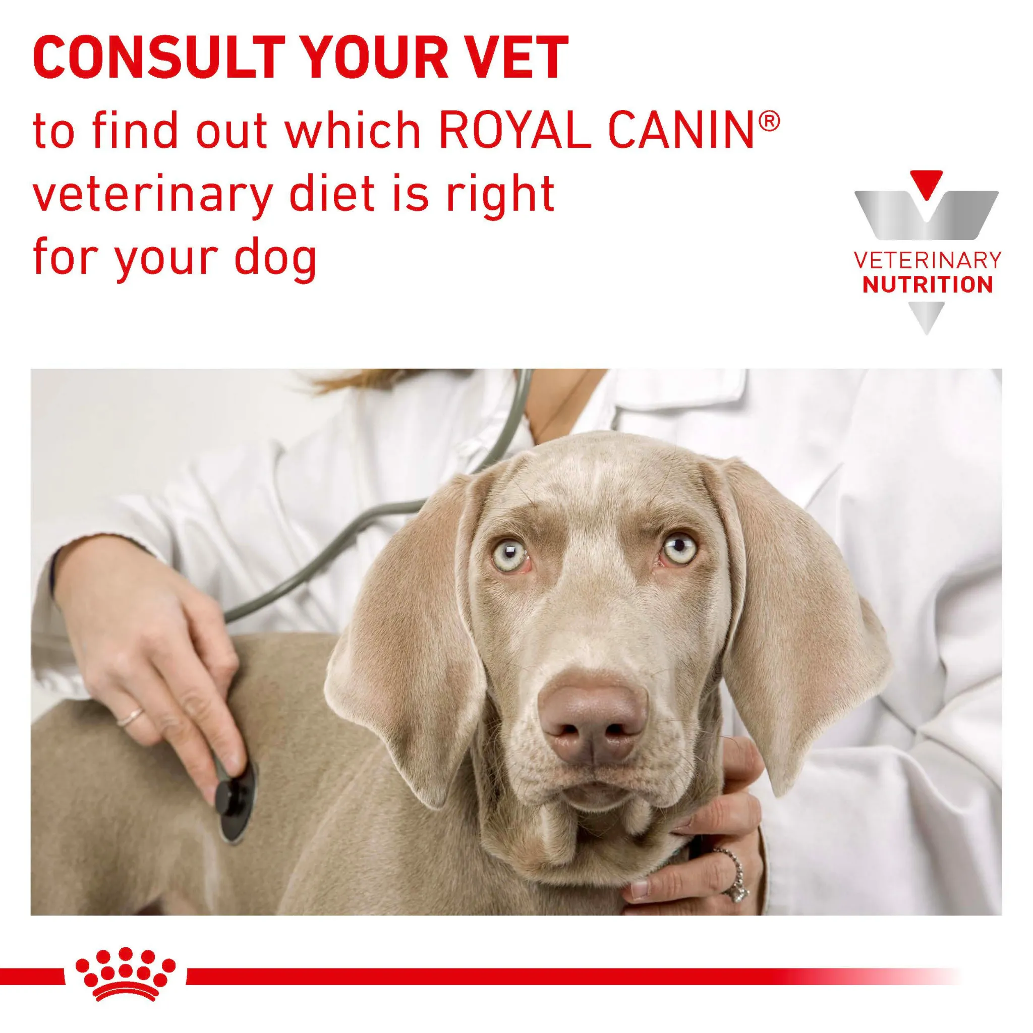 ROYAL CANIN® Early Renal Adult Wet Dog Food