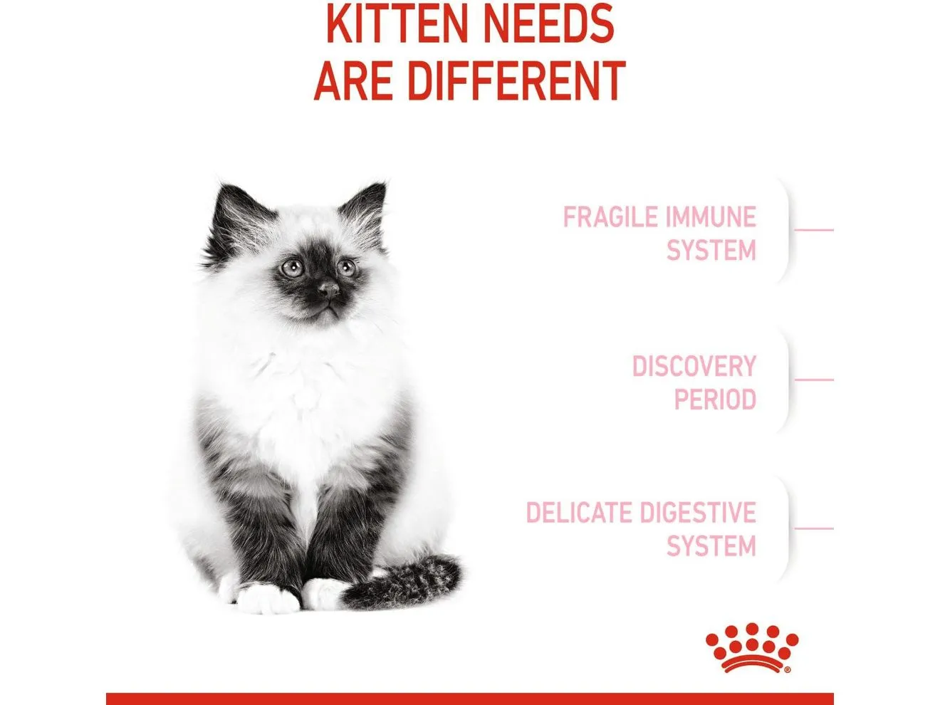 Royal Canin Feline Health Nutrition Kitten 2 KG