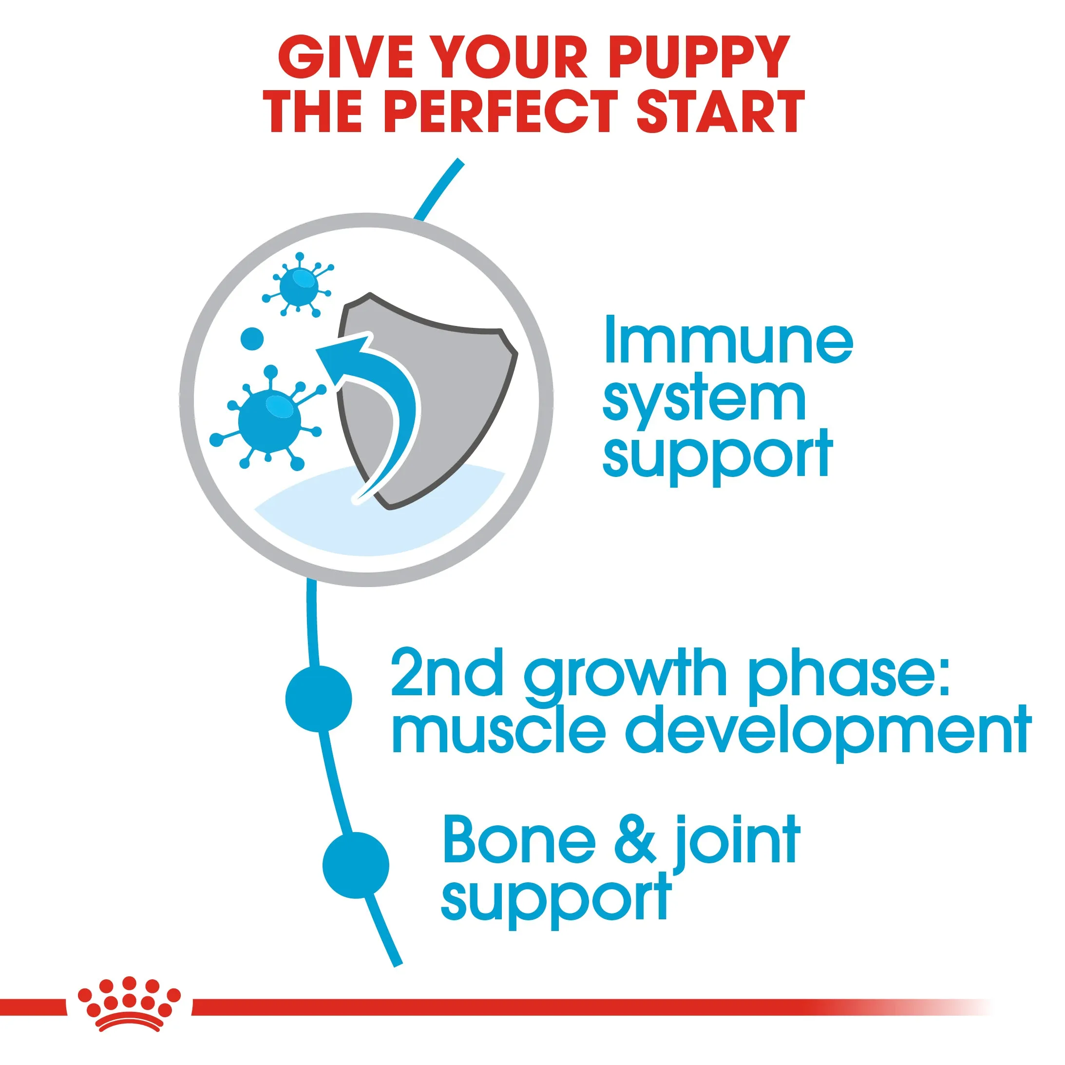 Royal Canin - Giant - Junior