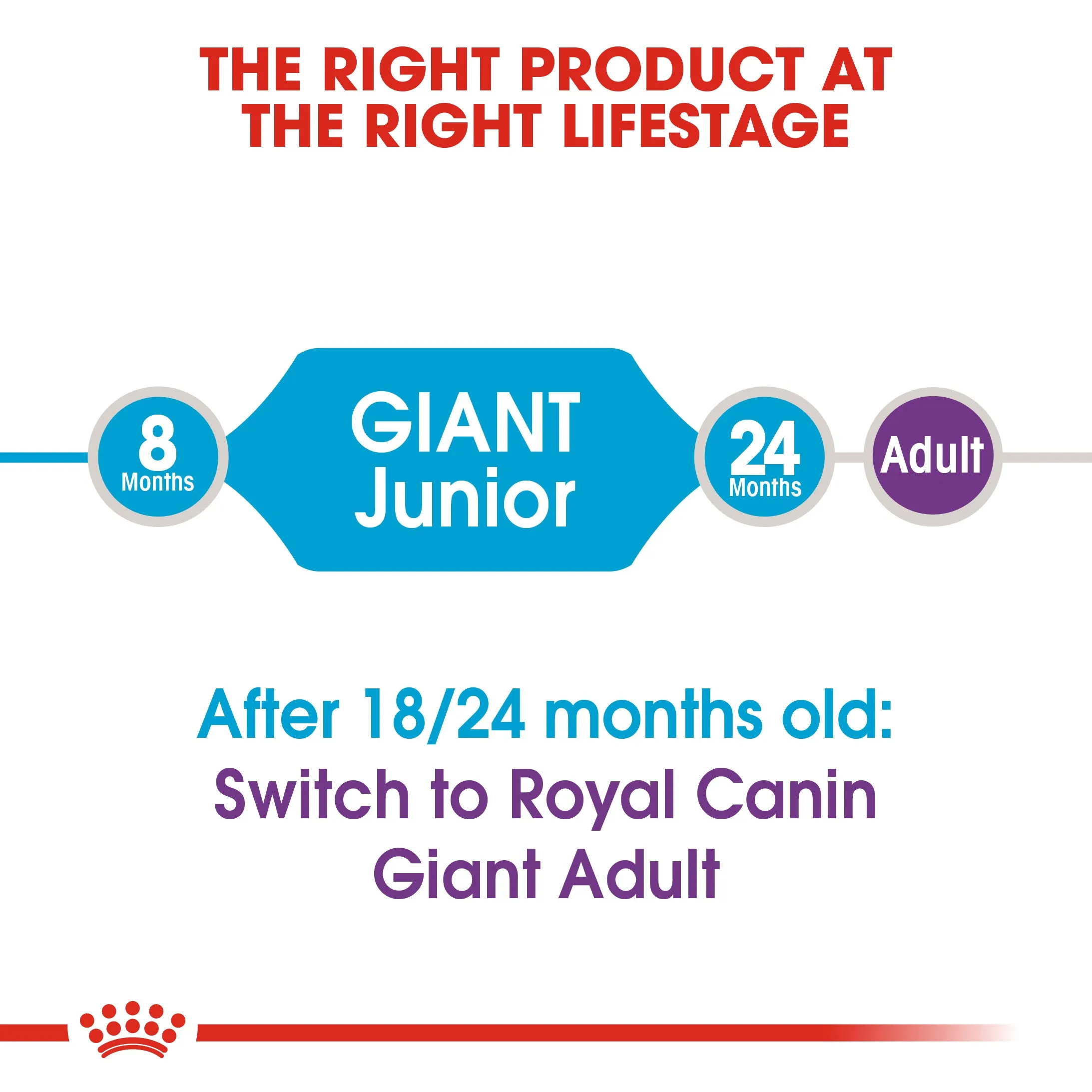 Royal Canin - Giant - Junior