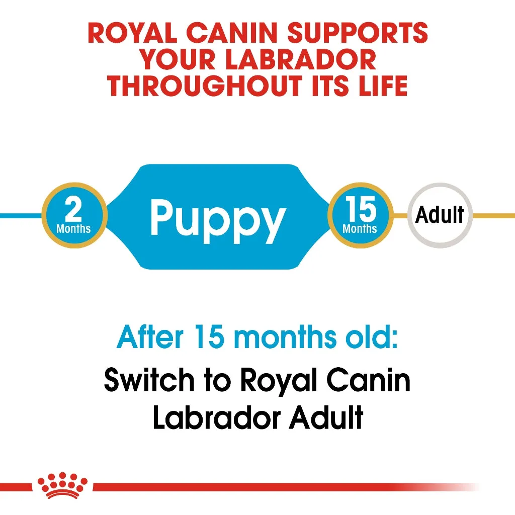Royal Canin Labrador Puppy 3kg Dry Dog Food - Breed Health Nutrition