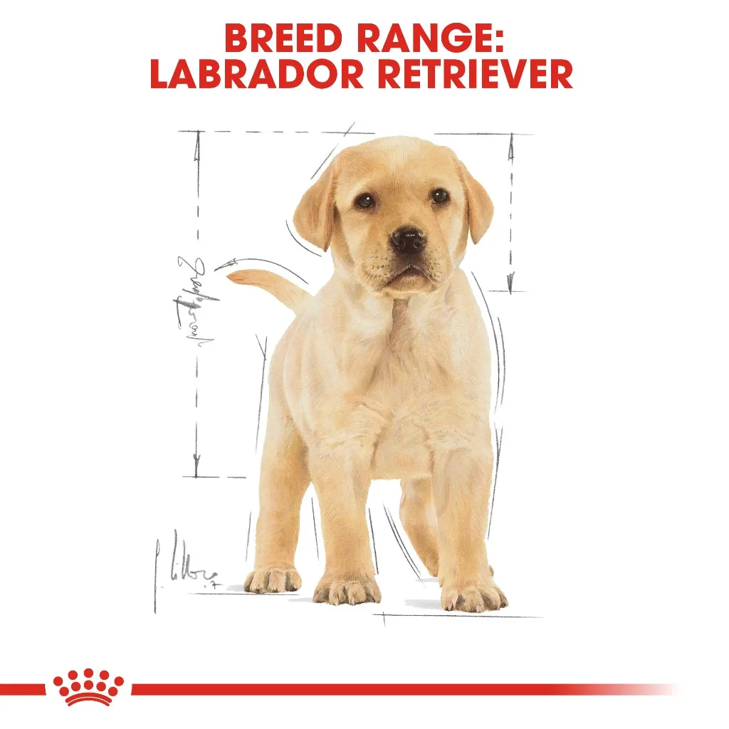 Royal Canin Labrador Puppy 3kg Dry Dog Food - Breed Health Nutrition