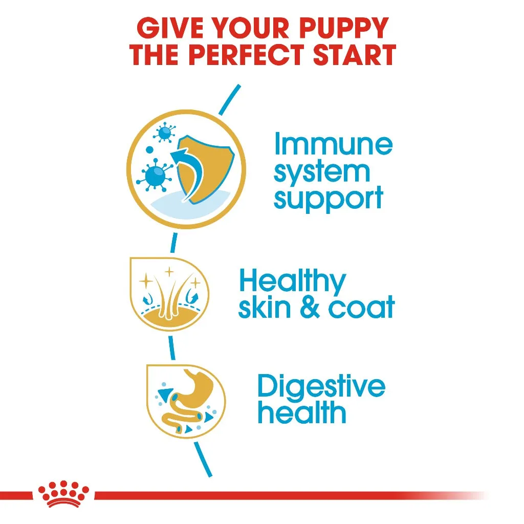 Royal Canin Shih Tzu Puppy 500g Dry Dog Food - Breed Health Nutrition