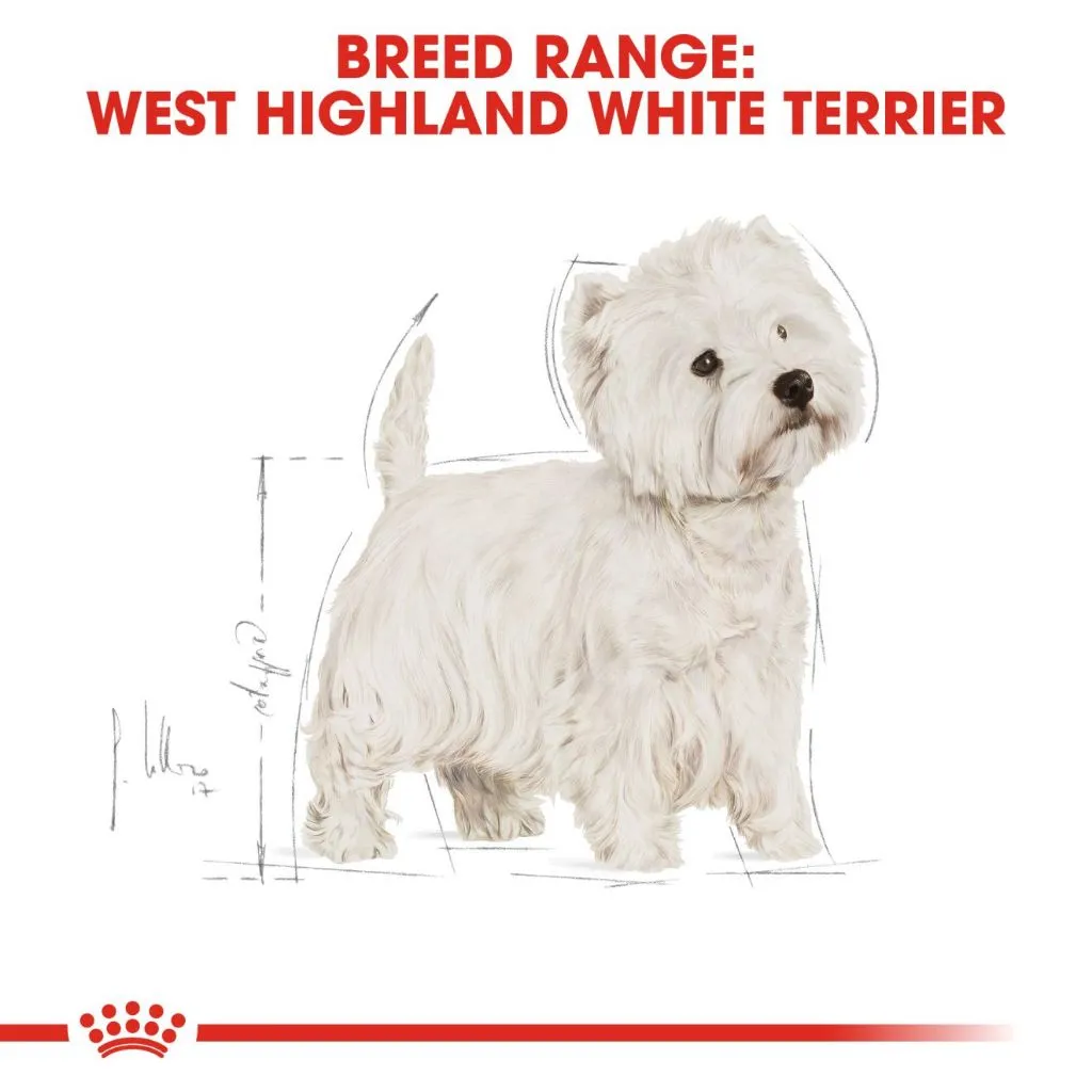 Royal Canin West Highland Adult 1.5kg Dry Dog Food - Breed Health Nutrition