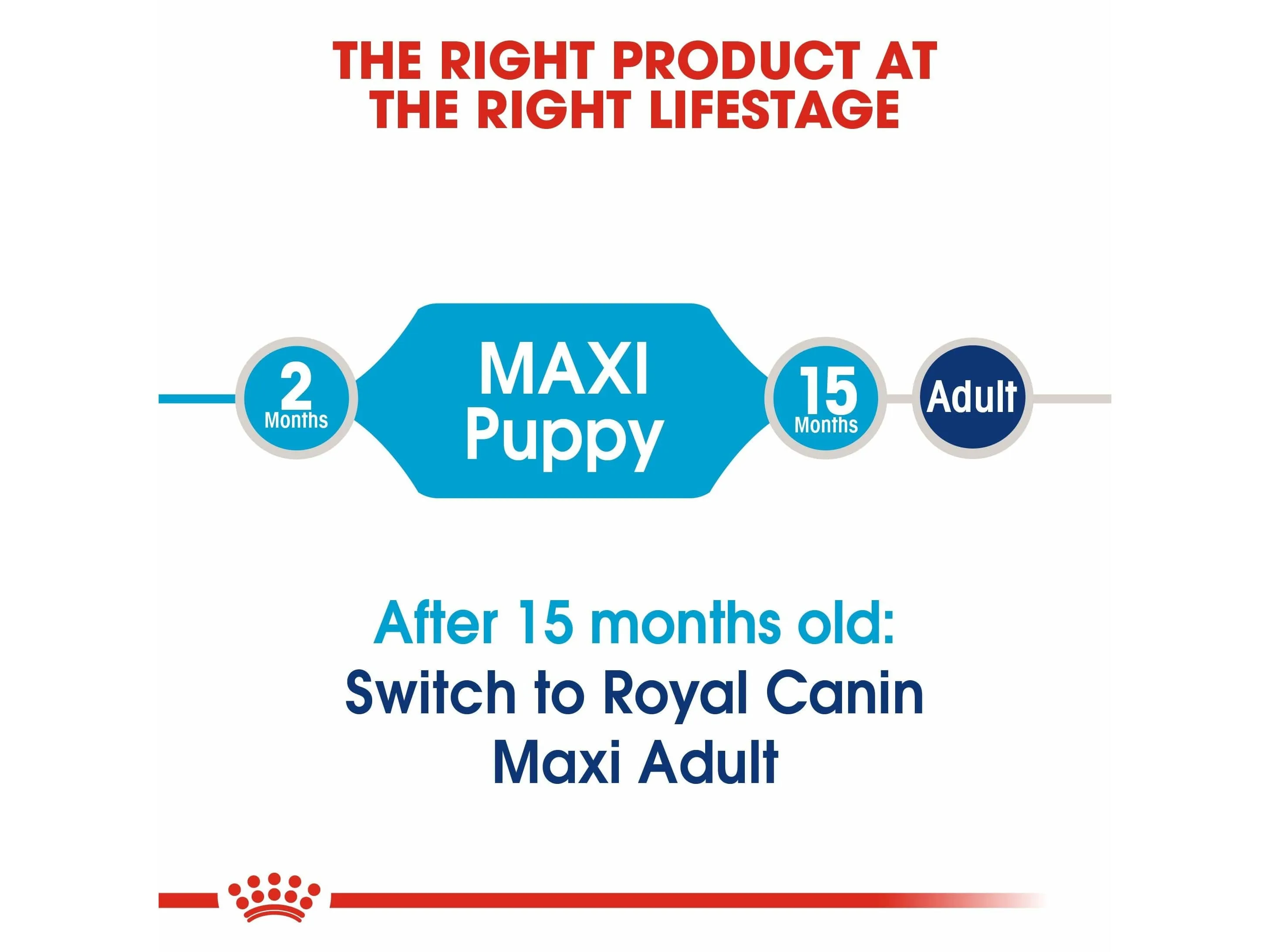 Size Health Nutrition Maxi Puppy 10 Kg
