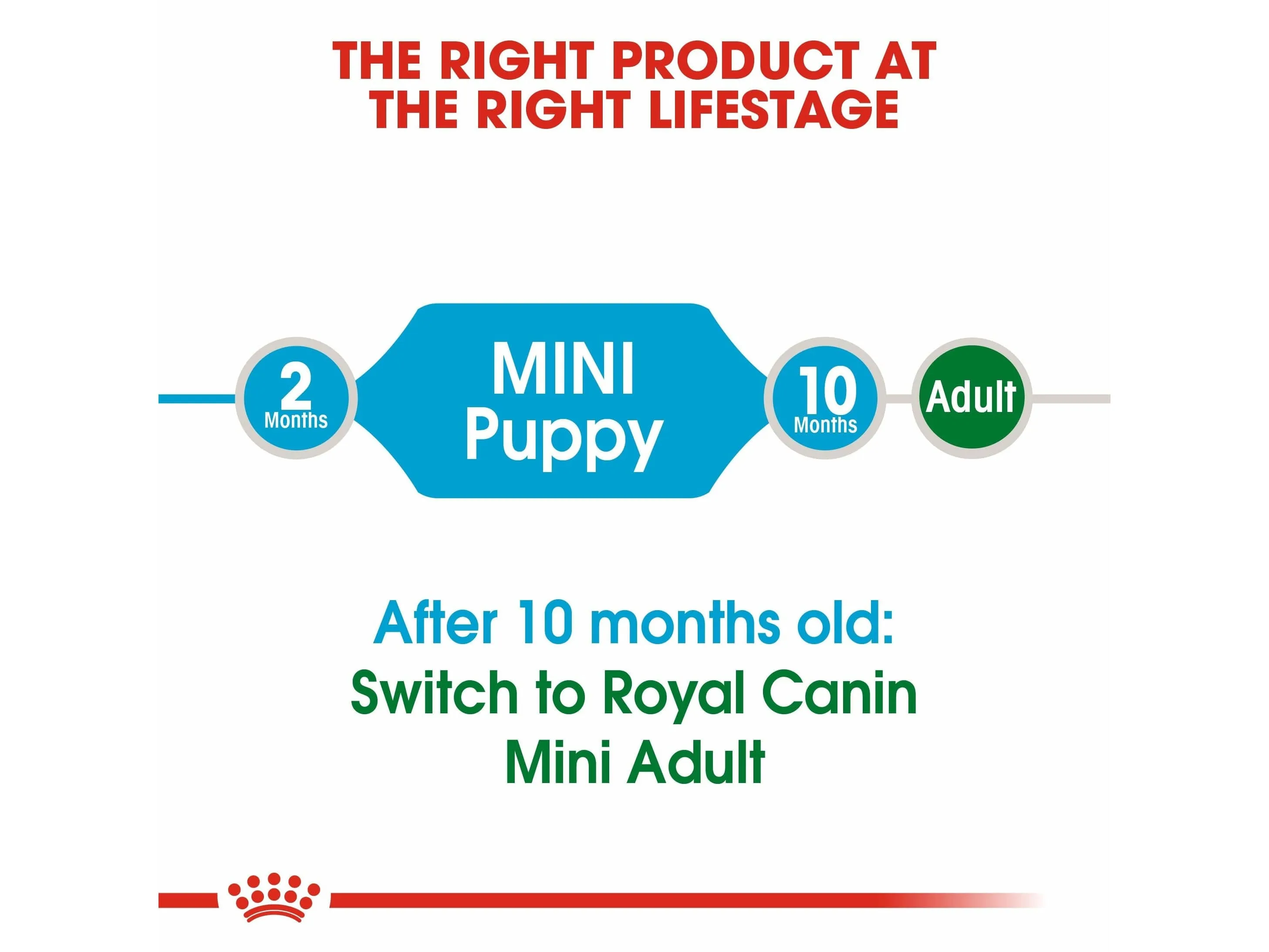 Size Health Nutrition Mini Puppy 8 Kg