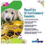 SodaPup Honeycomb Design eBowl Enrichment Slow Feeder Bowl for Dogs
