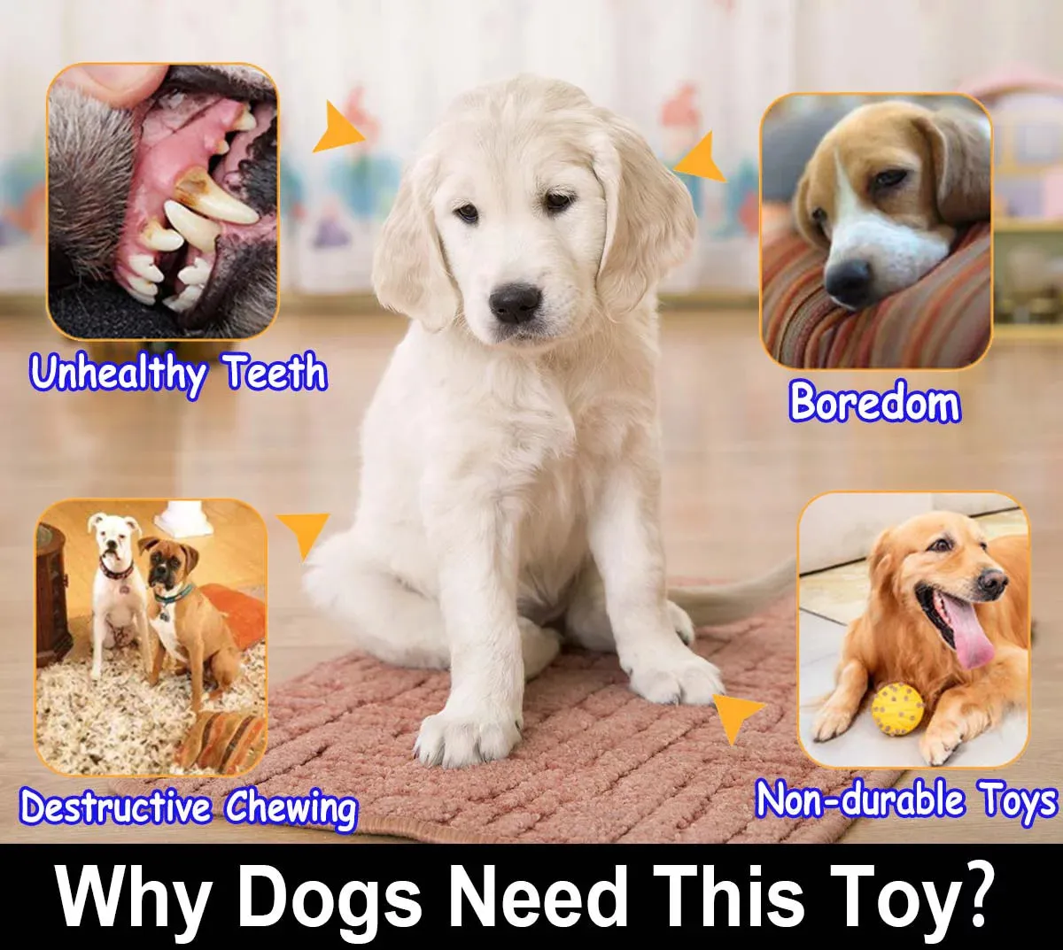 Ultimate Tug & Chew Dog Toy Set - Meet Rover's Playtime Pack!