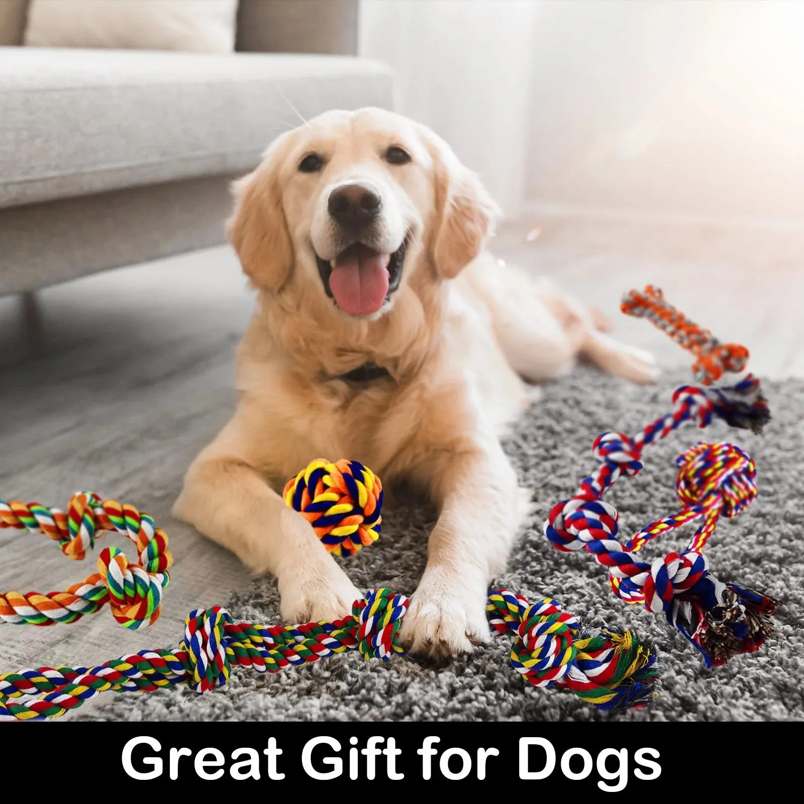 Ultimate Tug & Chew Dog Toy Set - Meet Rover's Playtime Pack!