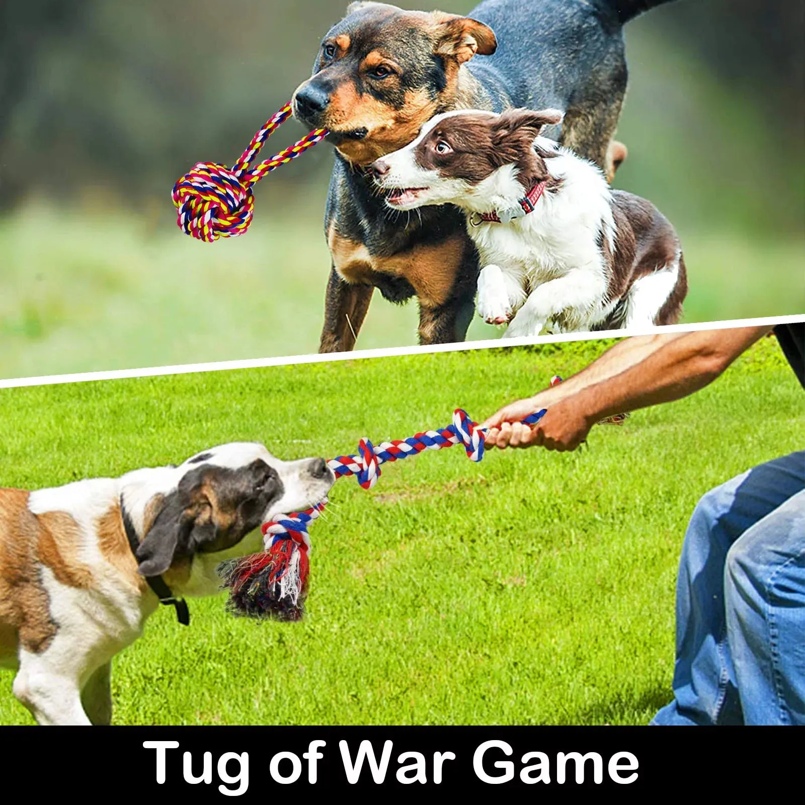 Ultimate Tug & Chew Dog Toy Set - Meet Rover's Playtime Pack!