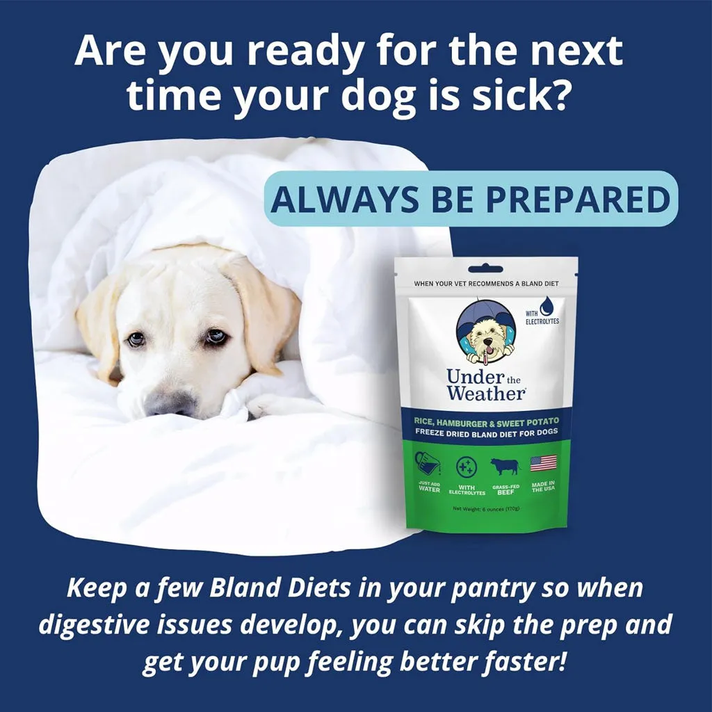 Under the Weather Rice, Hamburger & Sweet Potato Freeze Dried Bland Diet for Dogs, 6-oz