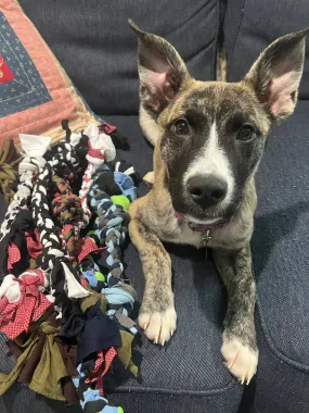 Upcycled Dog Toys: Extra Small