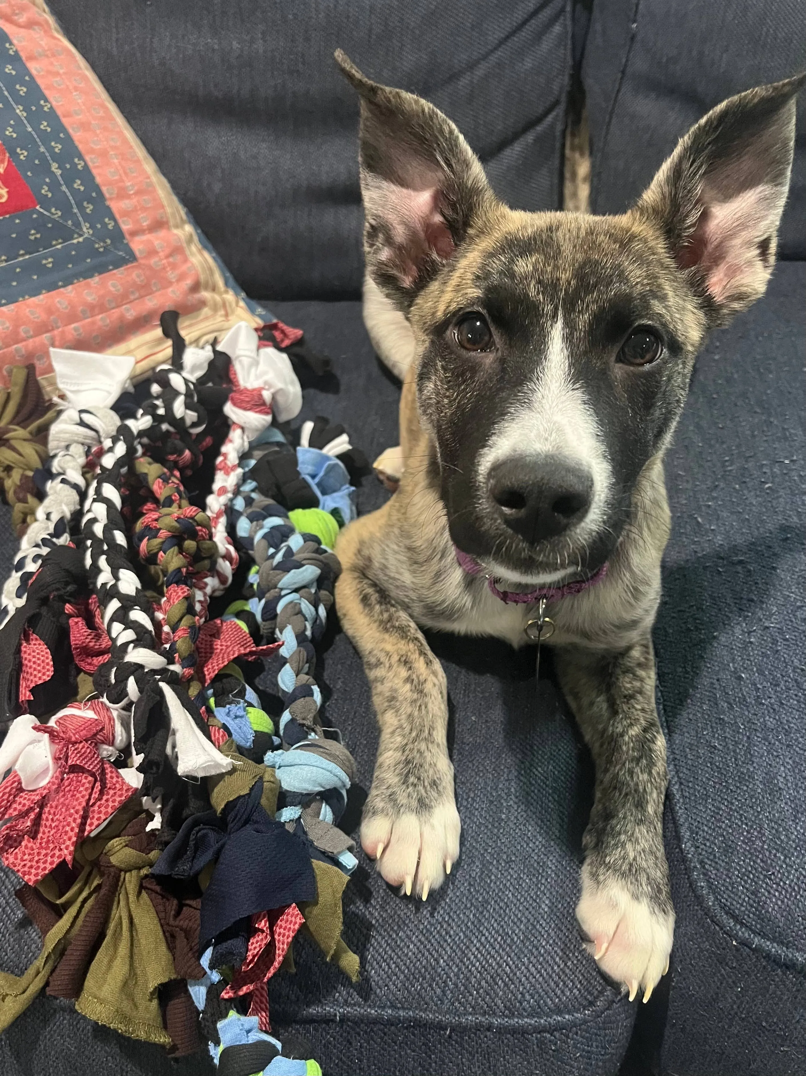 Upcycled Dog Toys: Extra Small